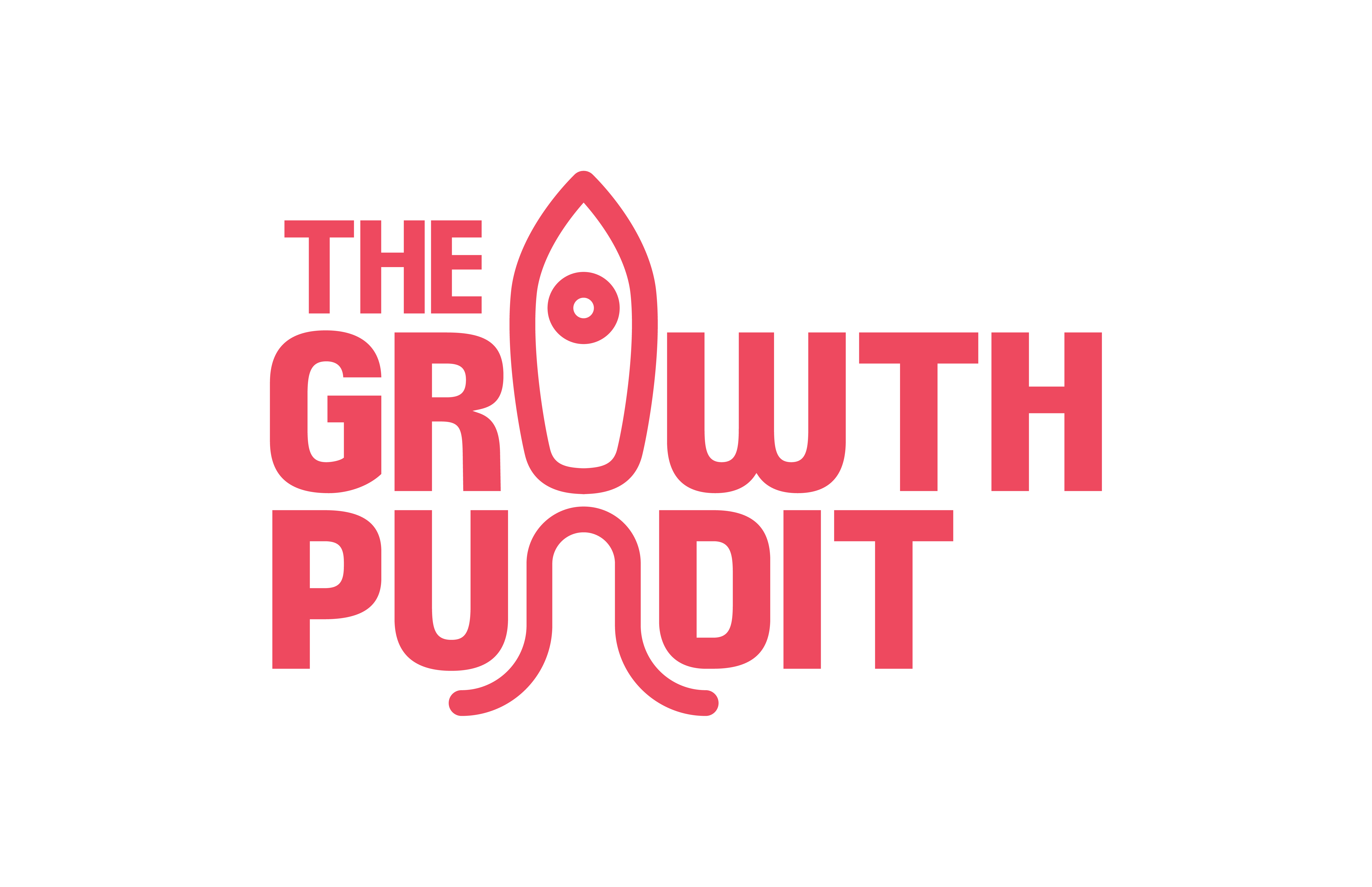 The Growth Pundit